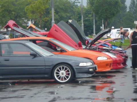 1993 Ford Probe - Cars with their hoods and doors open are lined up on a wet surface, possibly at a car show.