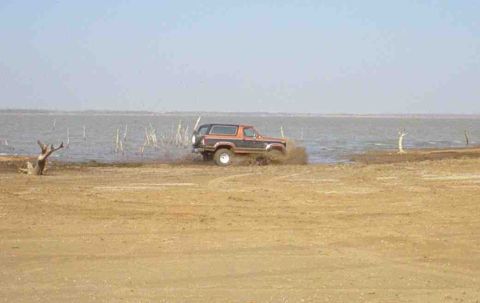 1984 Ford Bronco - A Ford Bronco is shown driving through the water near the shore.