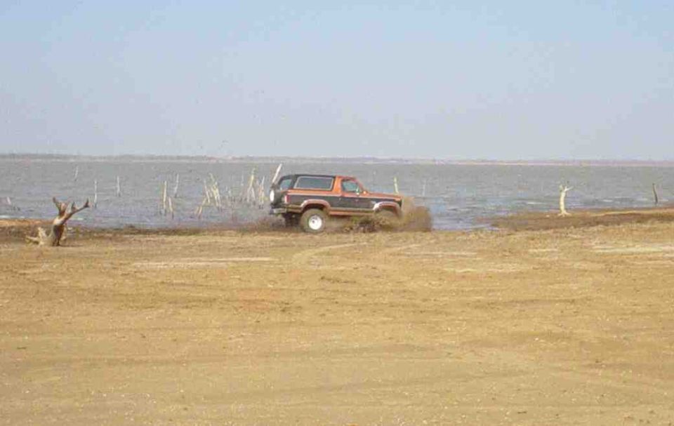 Ford Bronco driving through shallow water near a shore with some dead trees