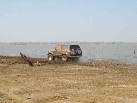 1984 Ford Bronco - A two-tone Ford Bronco is partially submerged in water near a muddy bank.