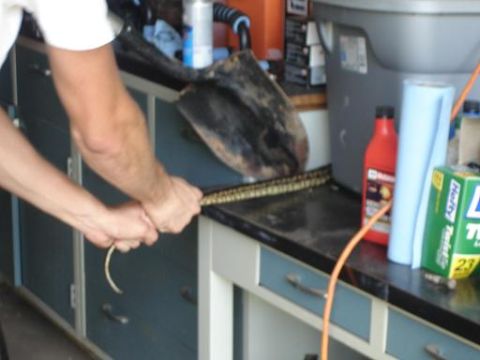 1996 Ford F-150 - A person's hands are holding a shovel and a chain over a workbench in a garage setting. Various items like bottles and paper towels are vis…