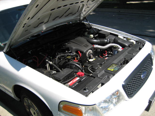 White 2003 Ford Crown Victoria engine bay with hood open.