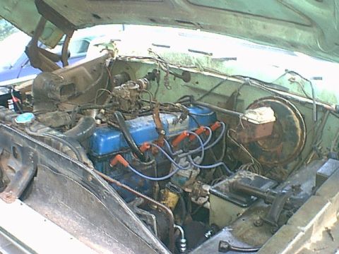 1979 Ford F-250 photo