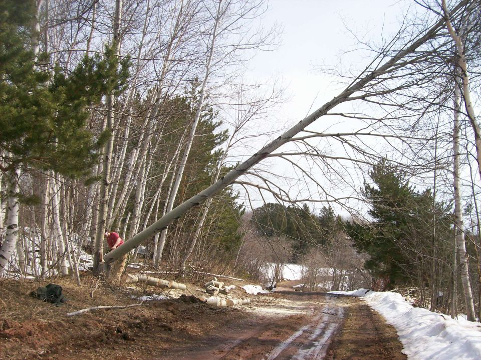 Person cutting a fallen tree blocking a dirt road in a wooded area with snow.