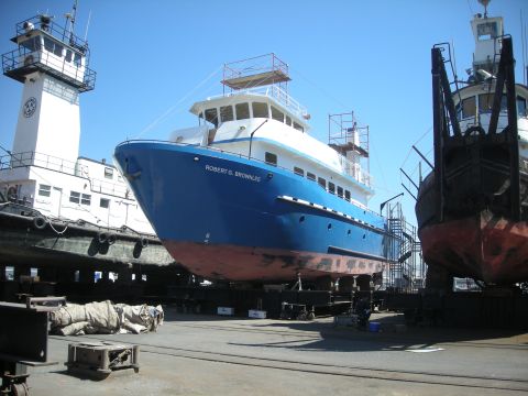1991 Ford Bronco - Ships are undergoing maintenance in a dry dock facility under a clear blue sky.