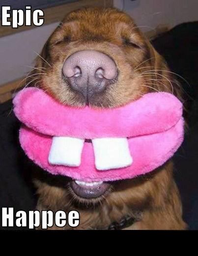 1988 Mercury Grand Marquis - A dog wears a pink plush toy that resembles large teeth, with the words "Epic" and "Happee" superimposed on the image.