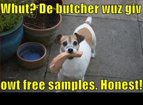 1988 Mercury Grand Marquis - A dog is shown holding a piece of meat, with text overlayed on the image.