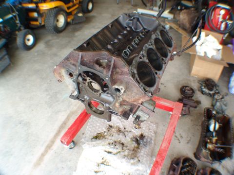 1996 Ford Bronco - 1996 351w stripped down