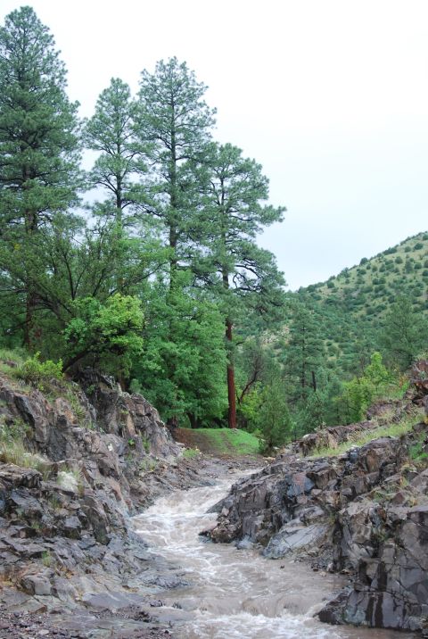 1997 Ford F-250 - A muddy creek flows through a rocky ravine surrounded by trees and a distant hill.