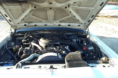 1991 Ford Crown Victoria LTD - The engine bay of a light-colored vehicle is visible with the hood raised.