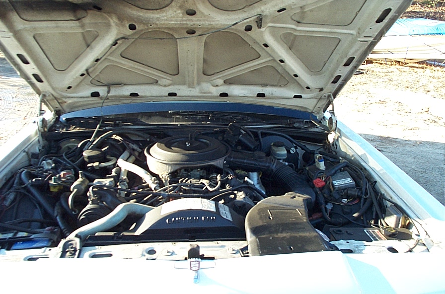 Open hood over Ford V8 engine bay with round air cleaner and caution-fan shroud