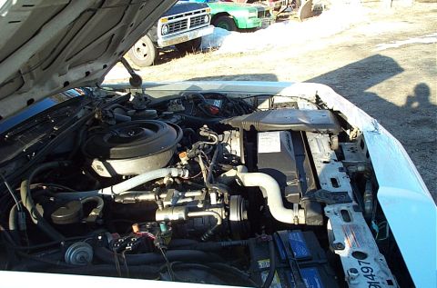 1991 Ford Crown Victoria LTD - Engine bay of a 1991 Ford Crown Victoria LTD, with other vehicles in the background.