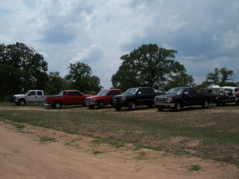 1996 Ford Bronco - Multiple trucks are parked in a line on a cloudy day, with trees and a trailer visible.