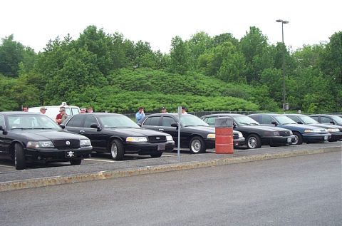 1991 Ford LTD Crown Victoria - A line of Ford Crown Victorias are parked in a lot with trees in the background.