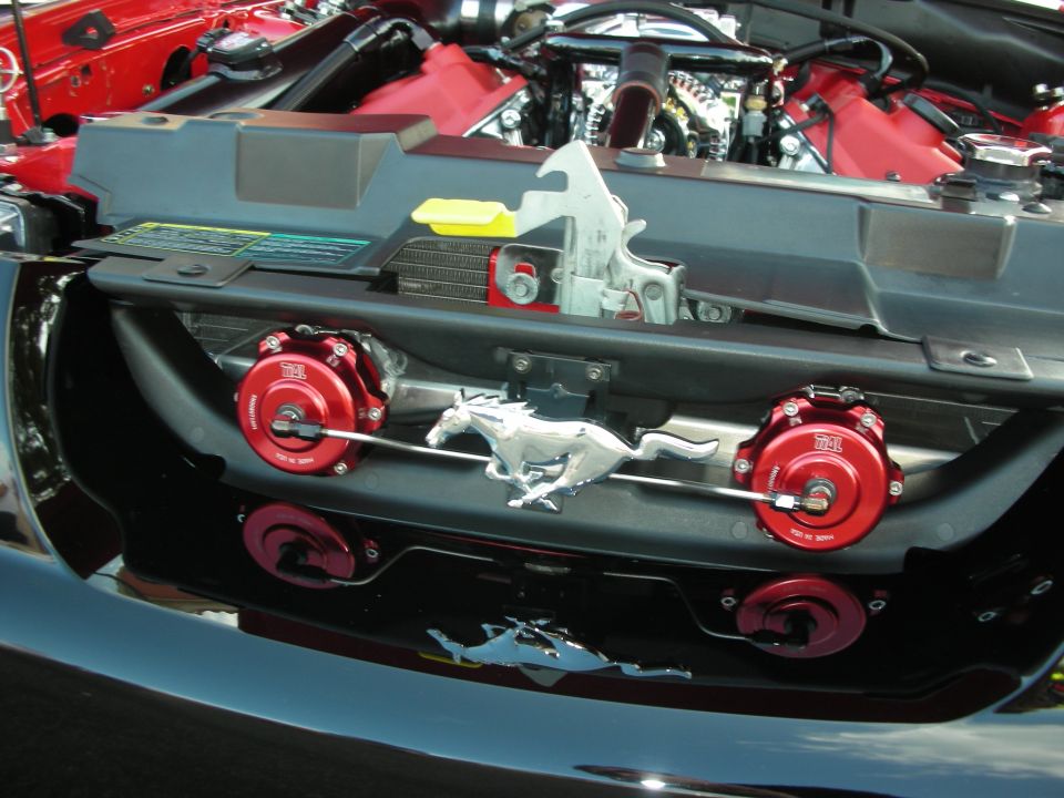 Engine bay with red components, chrome running horse emblem, and red blow-off valves