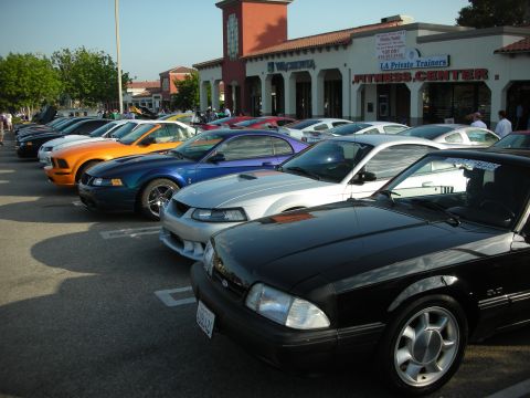 1998 Ford Crown Victoria - A line of Ford Mustangs, including a black GT, parked outside a fitness center.