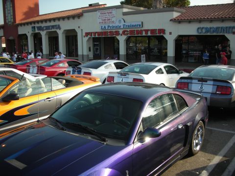 1998 Ford Crown Victoria - A collection of Ford Mustangs gathered at a meet, with a purple coupe in the foreground.