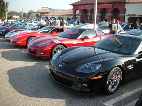 1998 Ford Crown Victoria - A line of Corvettes are parked at a car meet, with a black model in the foreground.
