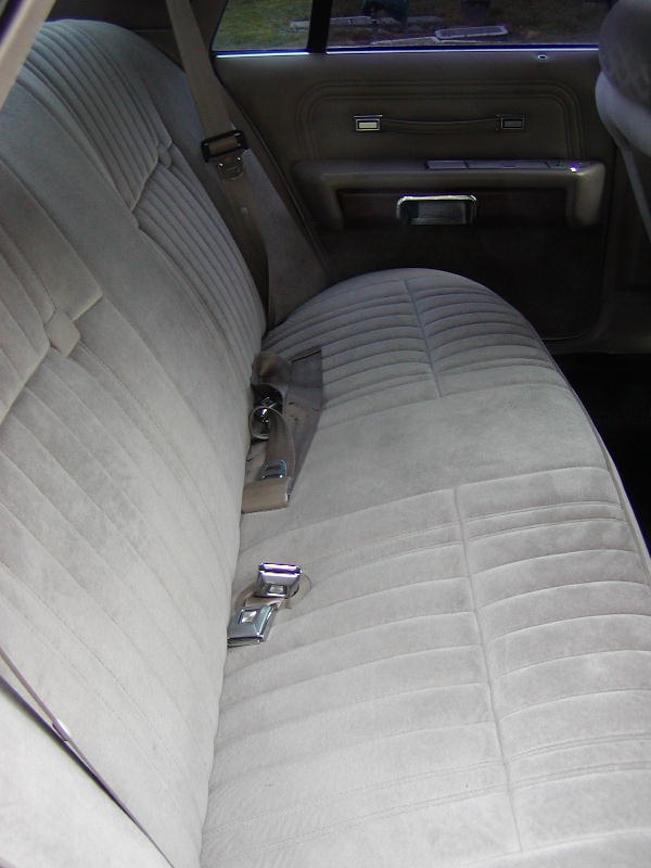 back seat of a car with light-colored fabric upholstery and seatbelts
