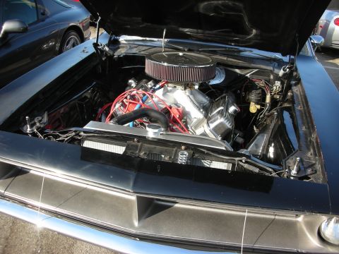 1998 Ford Crown Victoria - The engine compartment of a classic car is open, revealing a powerful V8 engine and various components.