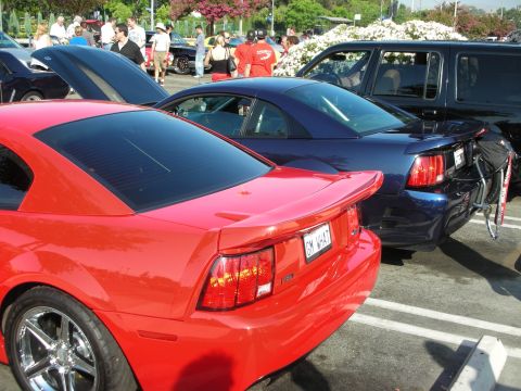 1998 Ford Crown Victoria - Two Ford Mustangs are parked side-by-side at an outdoor car meet.