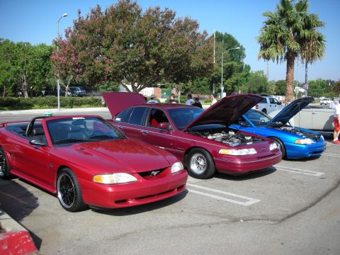 1998 Ford Crown Victoria - Three cars are parked in a lot, two with hoods open, under a sunny sky.
