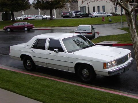 1991 Ford LTD Crown Victoria - White 1991 Ford Crown Victoria LTD parked curbside with other vehicles in background.