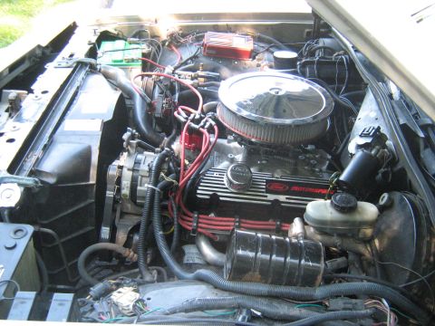 1988 Mercury Grand Marquis - Close-up of a Ford V8 engine, a chrome air cleaner and 'Ford Motorsport' branding on the valve cover.