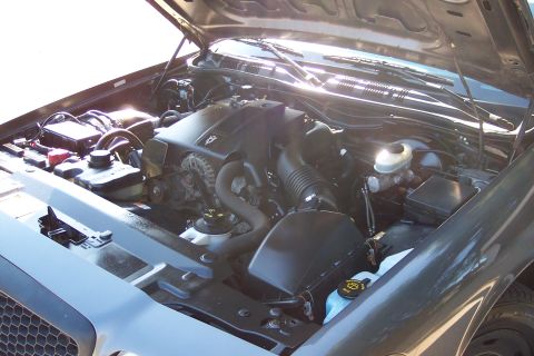 2001 Ford Crown Victoria - Engine bay of a 2001 Ford Crown Victoria, showing the V8 engine and associated components.