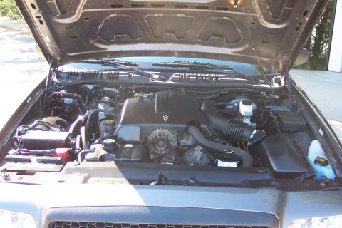 2001 Ford Crown Victoria - The engine bay of a Ford Crown Victoria, showing the V8 engine and associated components.