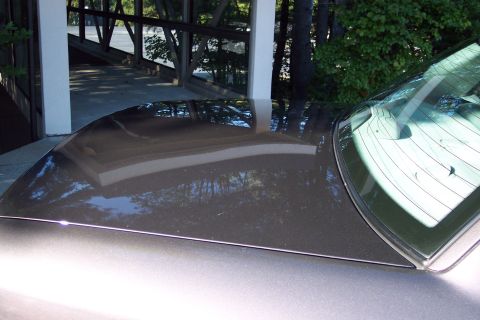 2001 Ford Crown Victoria - A close-up view of a car's rear section, showing the roof and window with reflections of the surrounding environment.