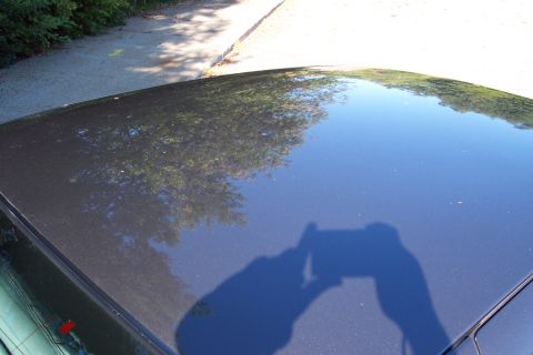 2001 Ford Crown Victoria - The reflection on the car's roof shows trees and the shadow of the person taking the photo.