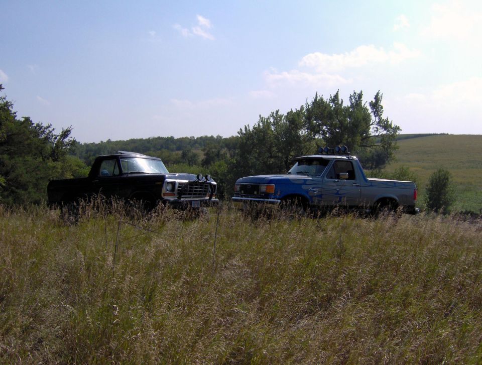black pickup truck and blue pickup truck parked in grassy field