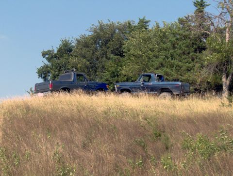 1987 Ford Bronco - Two blue Ford trucks are parked on a grassy incline under a clear blue sky.
