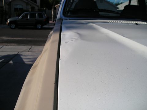 1986 Toyota Hilux - The hood of a white pickup truck shows significant damage and a dented area.