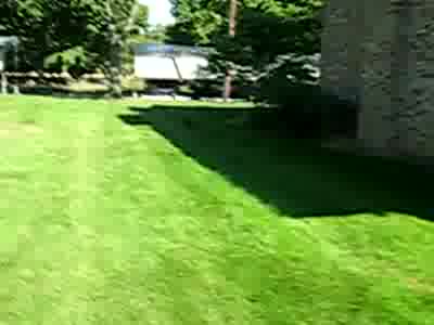 1988 Mercury Grand Marquis - Tobi running outside. 9-1-08