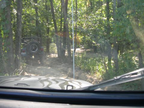 1991 Jeep Wrangler - Two Jeep Wranglers navigate a wooded trail on a sunny day.