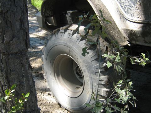 1990 Ford Bronco - This image shows a close-up of a tire and fender of a vehicle, partially obscured by vegetation and mud.