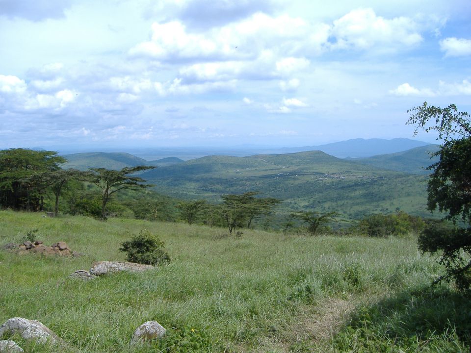Grassy hillside with scattered trees and rolling hills in the distance under a cloudy sky