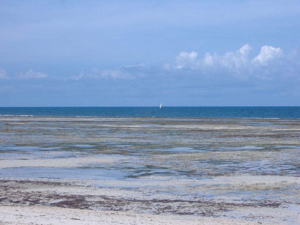 Beach scene with calm ocean and a distant sailboat