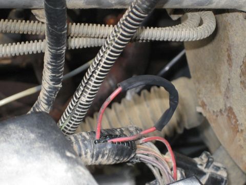 1995 Ford Bronco - Detail of a vehicle's engine wiring harness, showing exposed red wires and protective conduit.