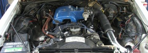1985 Ford LTD Crown Victoria - Wide overhead view of an open engine bay on a white car, showing a blue-painted upper intake plenum with blue plug wires, a black corrugate…