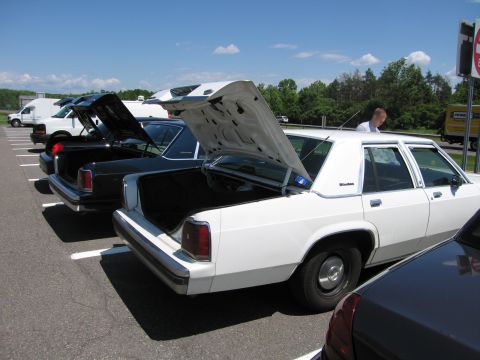 2001 Ford Crown Victoria - Several sedans are parked in a lot with their trunks and hoods open under a bright blue sky.