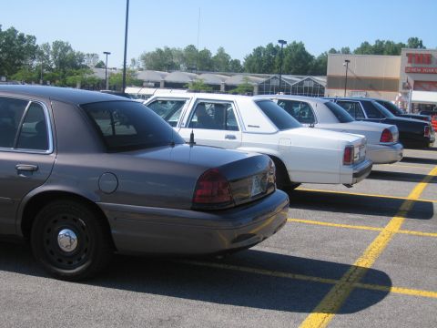 2001 Ford Crown Victoria - Several Ford Crown Victoria police cars are parked in a lot on a sunny day.