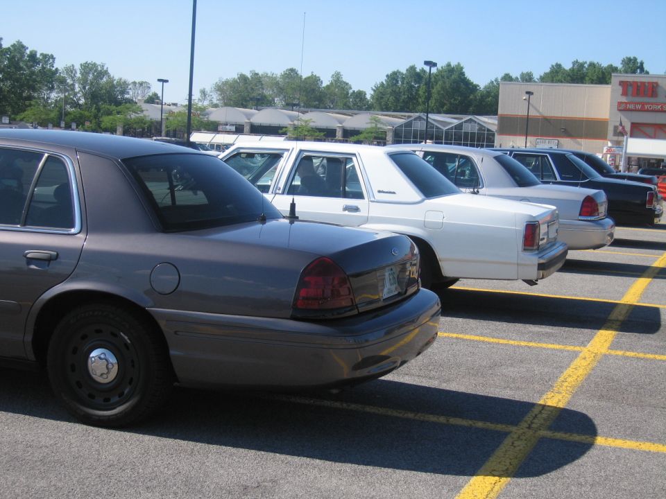 Four Ford Crown Victoria police cars parked in a lot. The closest is dark gray, followed by three white ones