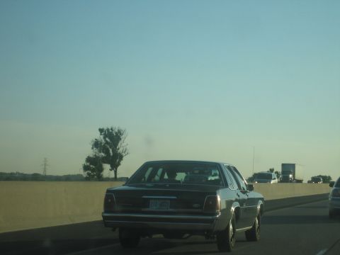 2001 Ford Crown Victoria - Dark Ford Crown Victoria on highway, license plate visible.