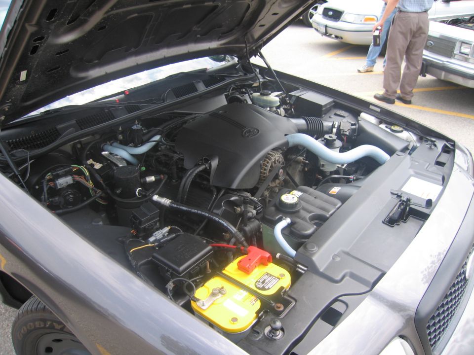 Engine bay of a 2001 Ford Crown Victoria. Shows engine, battery, and hoses