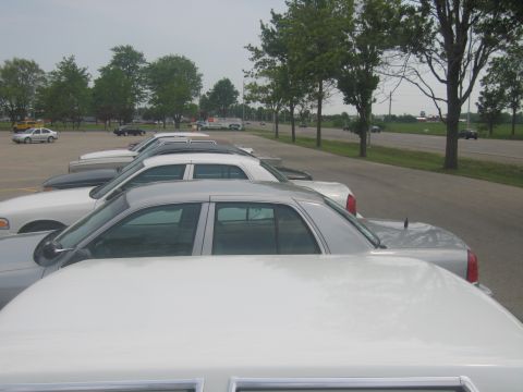 2001 Ford Crown Victoria - Multiple Ford Crown Victoria sedans are parked in a row on a cloudy day.