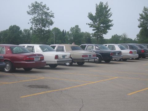 2001 Ford Crown Victoria - A line of sedans, including a maroon Mercury Grand Marquis and a white sedan, are parked in a lot under an overcast sky.