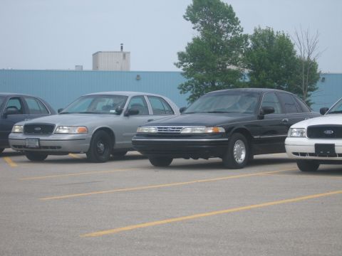 2001 Ford Crown Victoria - Several police sedans are parked in a lot, with a building and trees in the background.